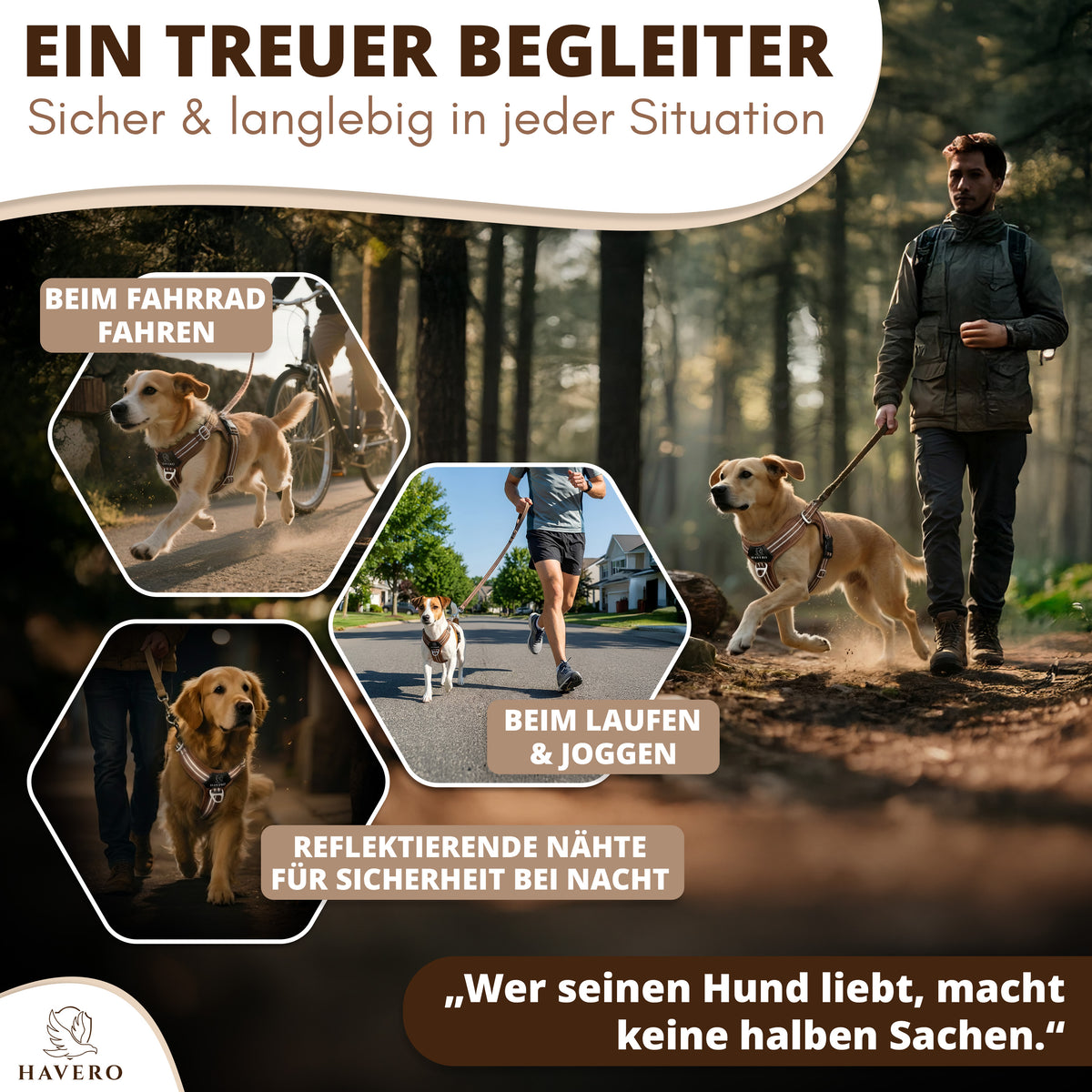 Braunes HAVERO Hundegeschirr beim Spazierengehen, Joggen und Radfahren mit reflektierenden Nähten