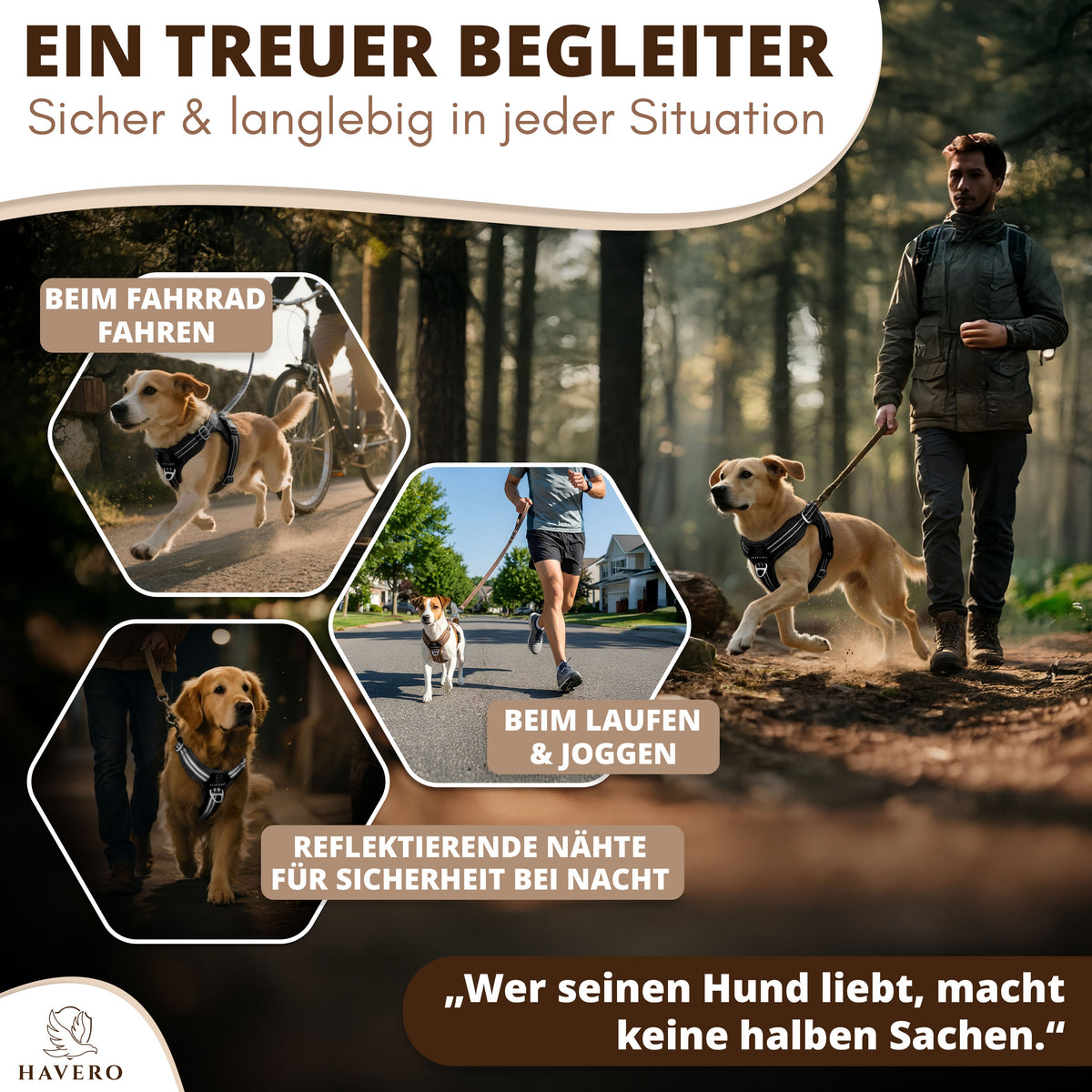 Schwarzes HAVERO Hundegeschirr beim Spazierengehen, Joggen und Radfahren mit reflektierenden Nähten