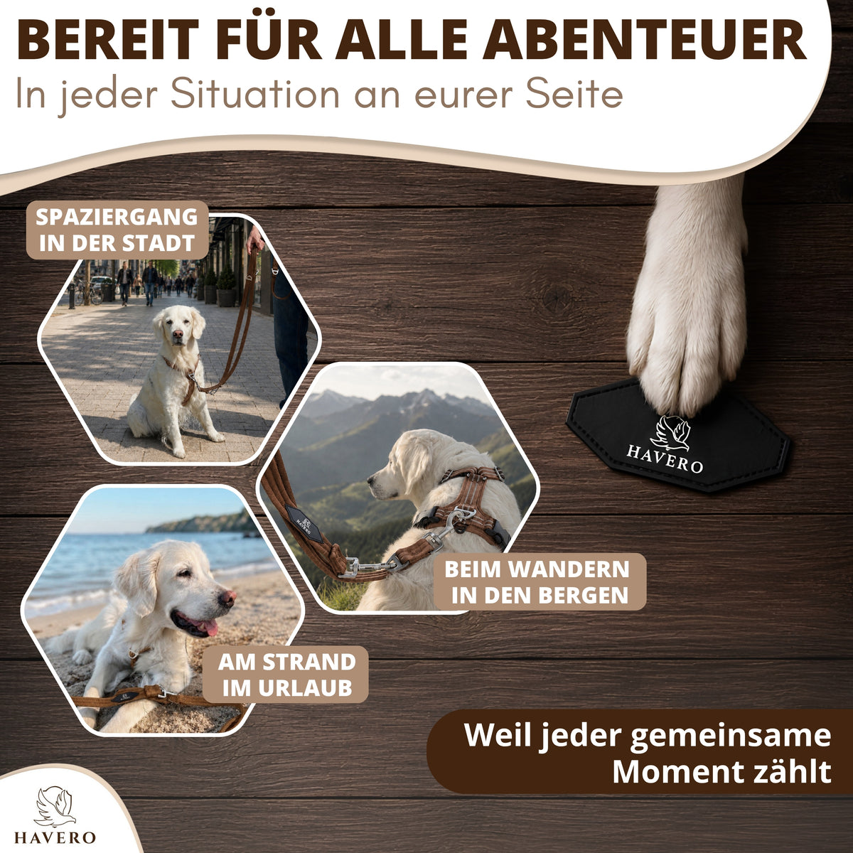 Braune HAVERO Hundeleine für Spaziergänge, Wanderungen und Ausflüge mit Hund