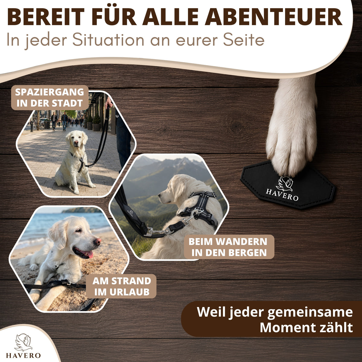 Schwarze HAVERO Hundeleine für Spaziergänge, Wanderungen, Ausflüge und Urlaub mit Hund