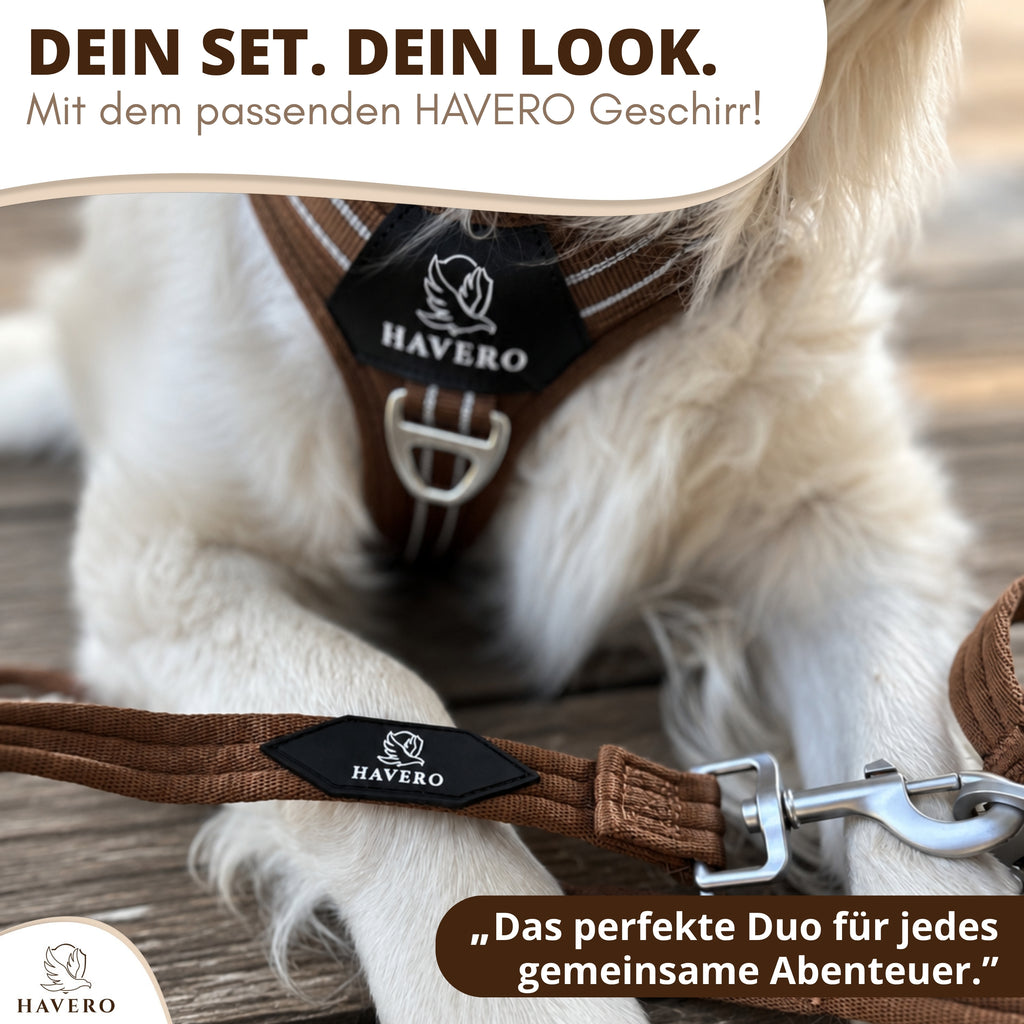 Braune HAVERO Hundeleine mit passendem braunen Hundegeschirr