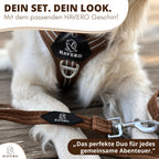 Braune HAVERO Hundeleine mit passendem braunen Hundegeschirr