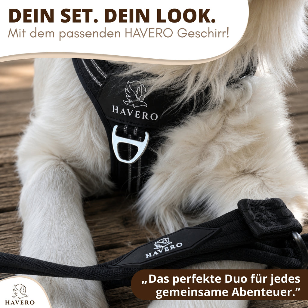 Schwarze HAVERO Hundeleine mit passendem schwarzen Hundegeschirr