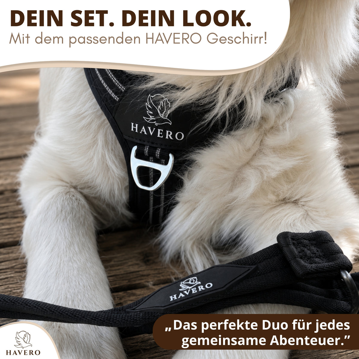 Schwarze HAVERO Hundeleine mit passendem schwarzen Hundegeschirr
